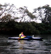 �����o���ď��