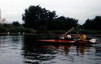 ����IPPON��