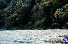 �������