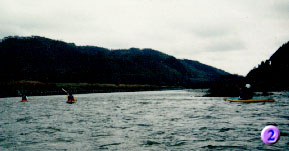 �e�g���̌��