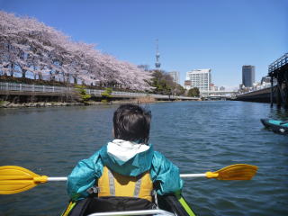 お花見　桜カヌーとスカイツリー