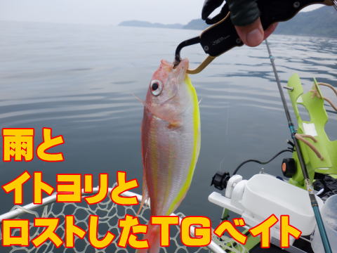 �J�� �C�g������ ���X�g����TG�x�C�g